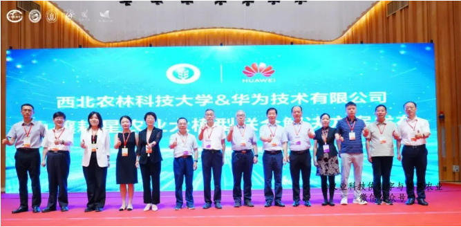 qq20250815-104629.png